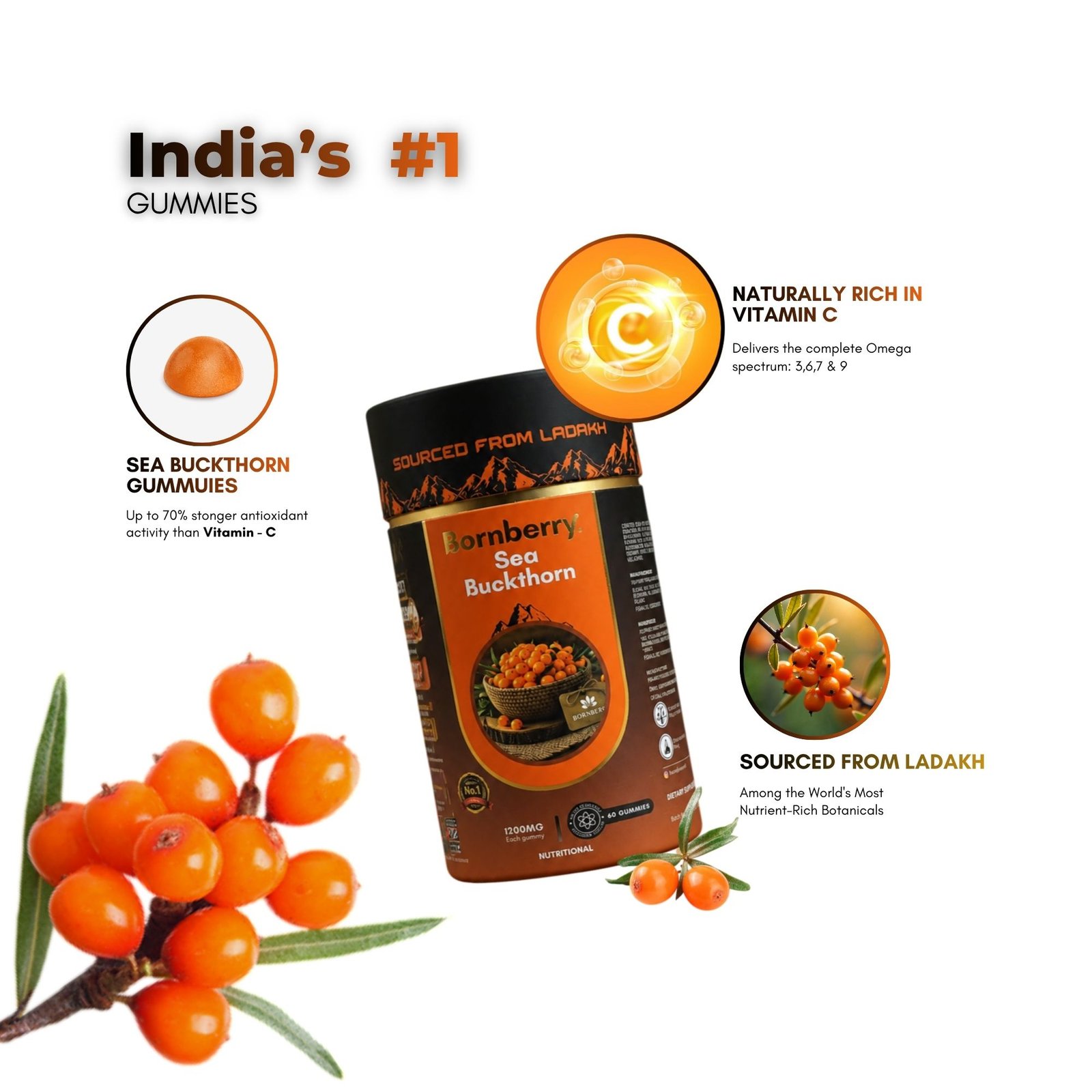 Bornberry Sea Buckthorn
