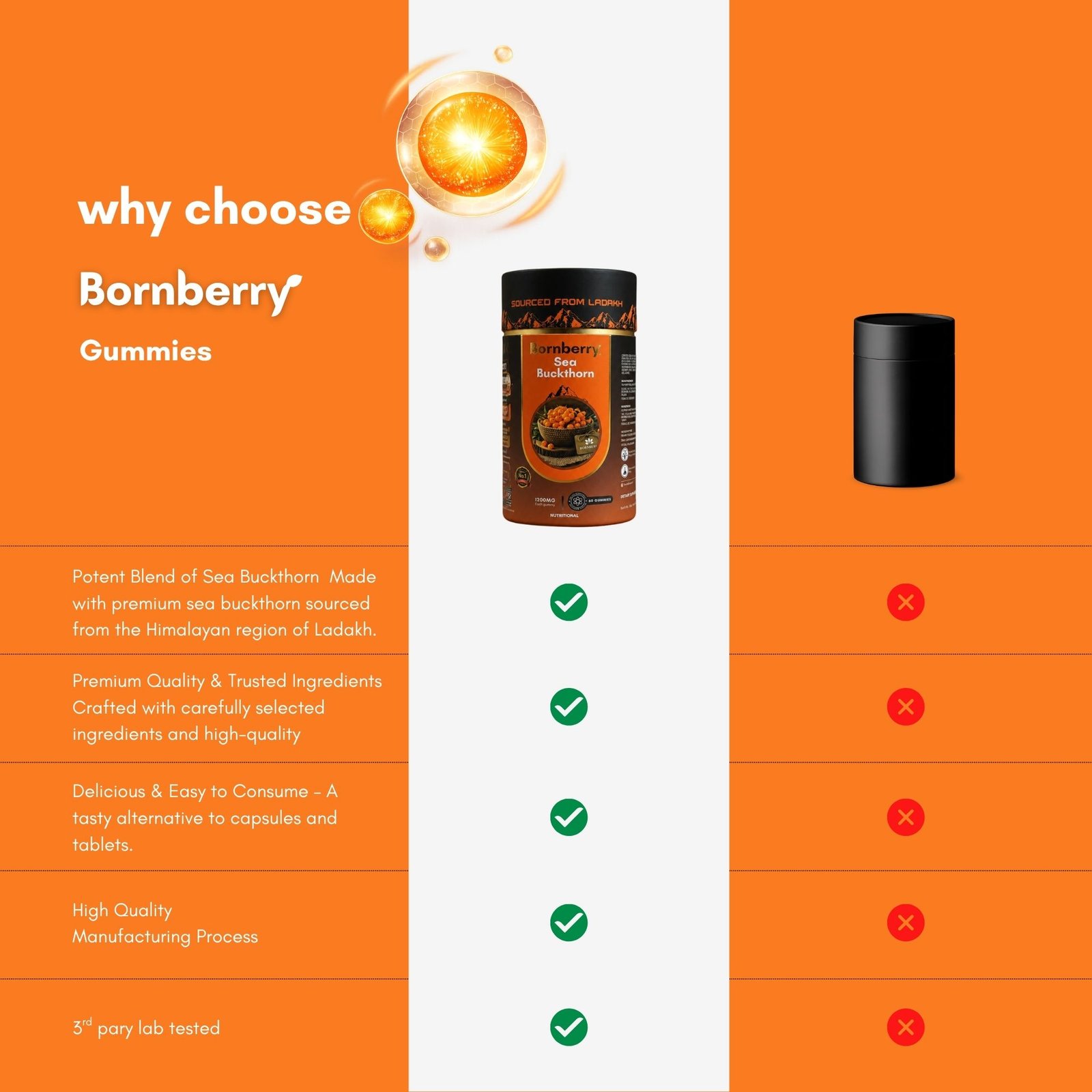 Bornberry Sea Buckthorn