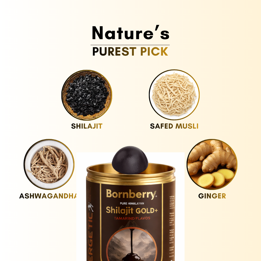 Bornberry Shilajit Gummies