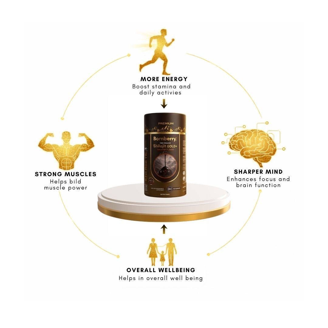Gold+ Shilajit Gummies