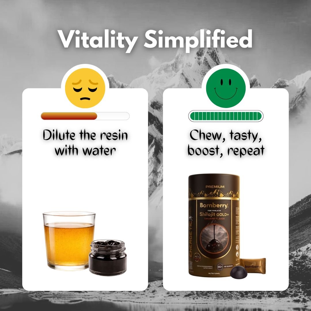 Gold+ Shilajit Gummies